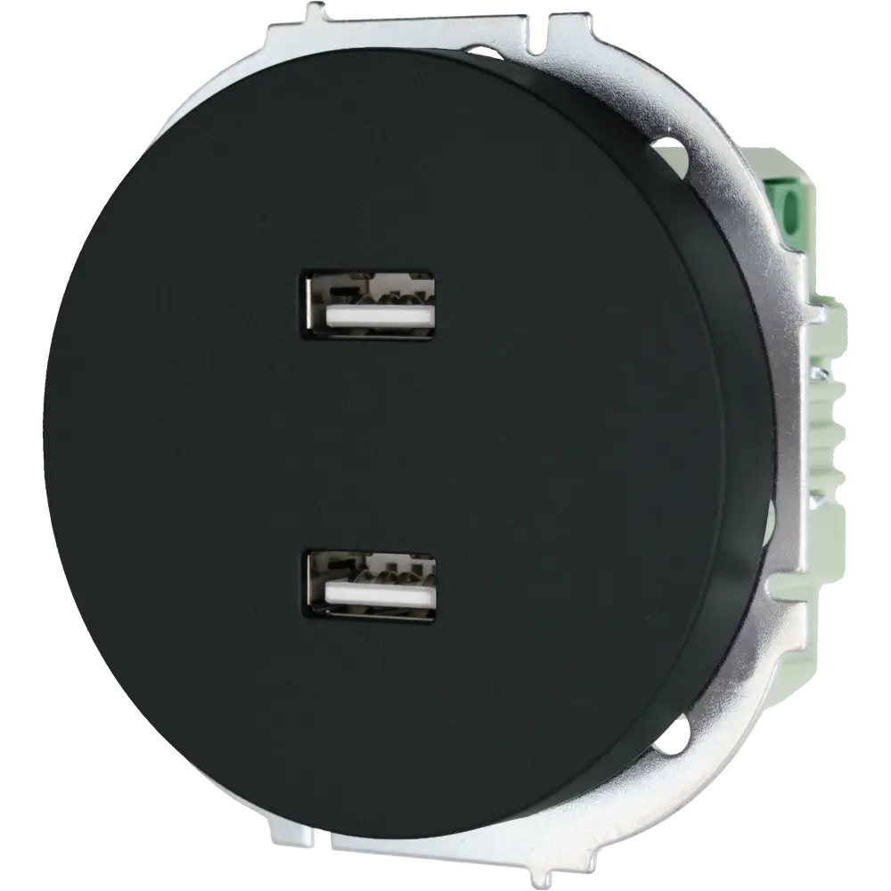 Розетка двойная USB встраиваемая Osen цвет черный LEZARD STLM-2056741