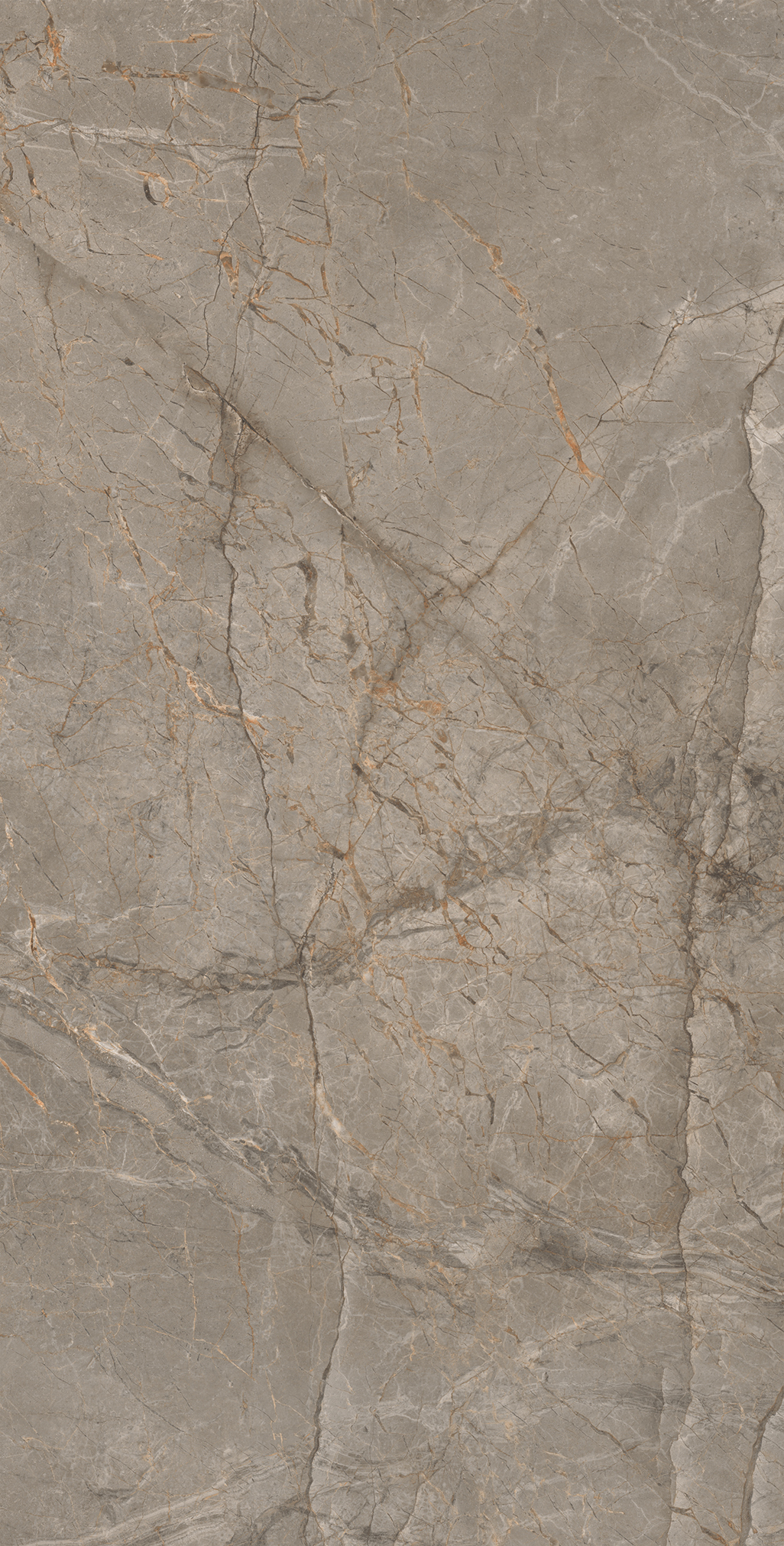 Керамогранит MISTRAL BROWN 60х120 Arcadia Ceramica CR4033-A  - Вид №5