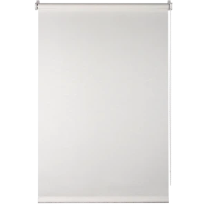 Штора рулонная Shine 60x160 см белая