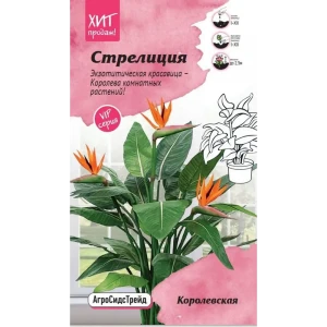 Семена цветов Агросидстрейд стрелиция Королевская 3 шт.