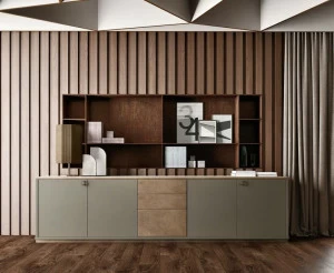 Caroti Низкая офисная мебель из лакированного дерева в современном стиле с распашными дверцами Concept 302