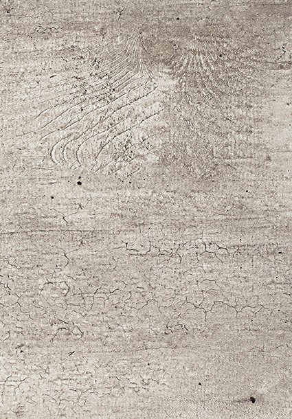 Столешницы для кухни - Каменное дерево LIGRON LIST438 3026