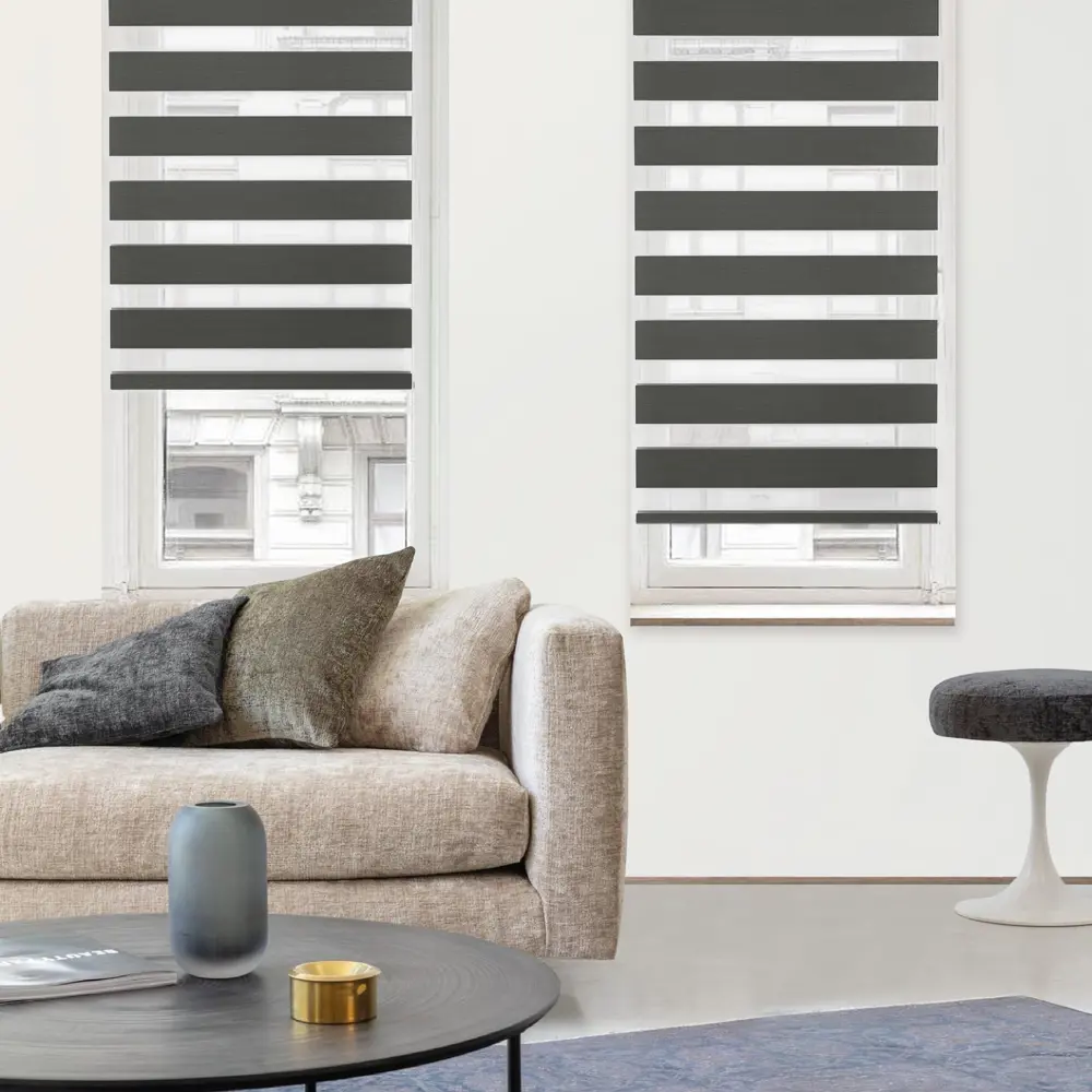 Штора рулонная день-ночь Silver 60x160 см графит MIAMOZA Д/Н SILVER STLM-2102201 - Вид №2