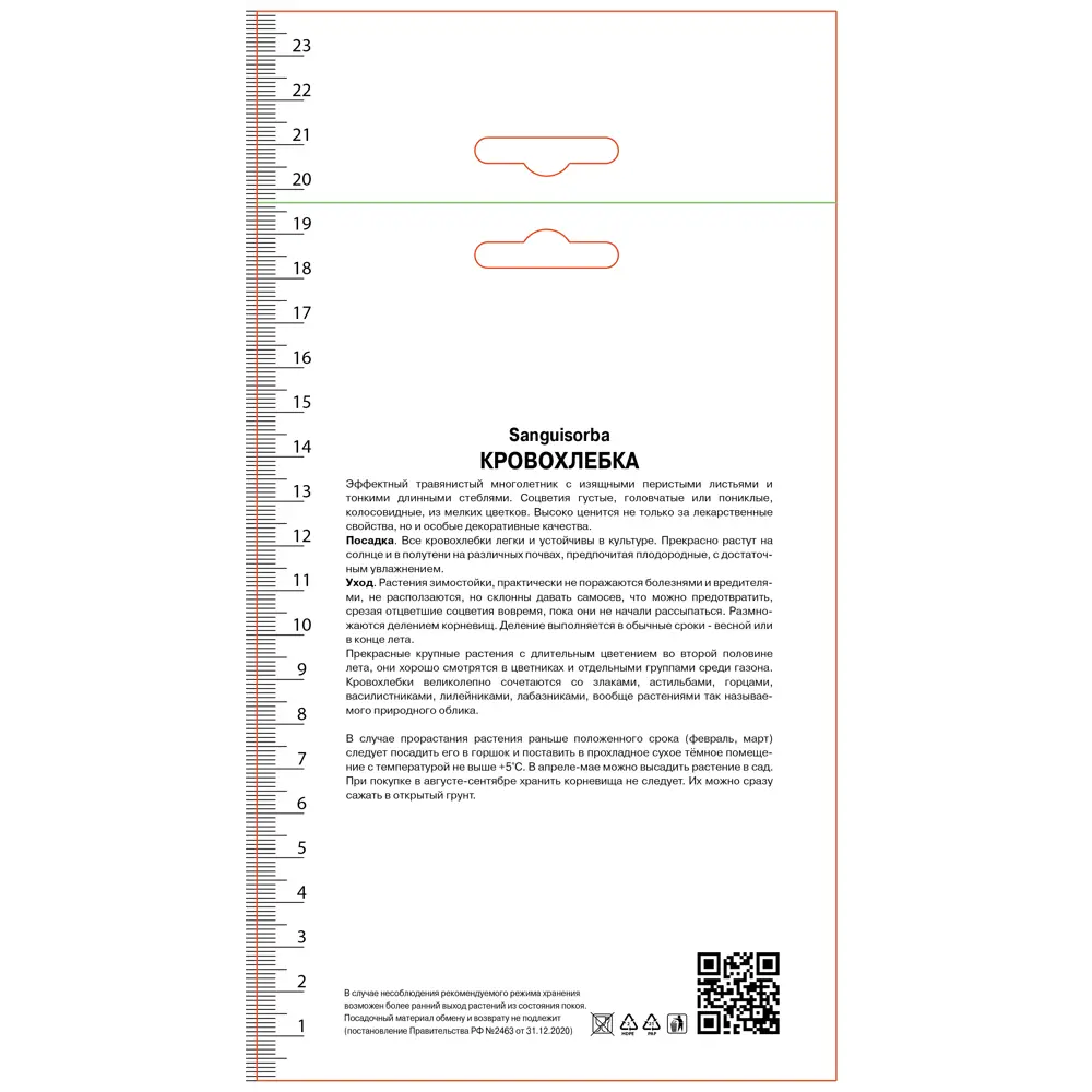Кровохлебка тупая 89452335 STLM-2116360 ПОИСК 