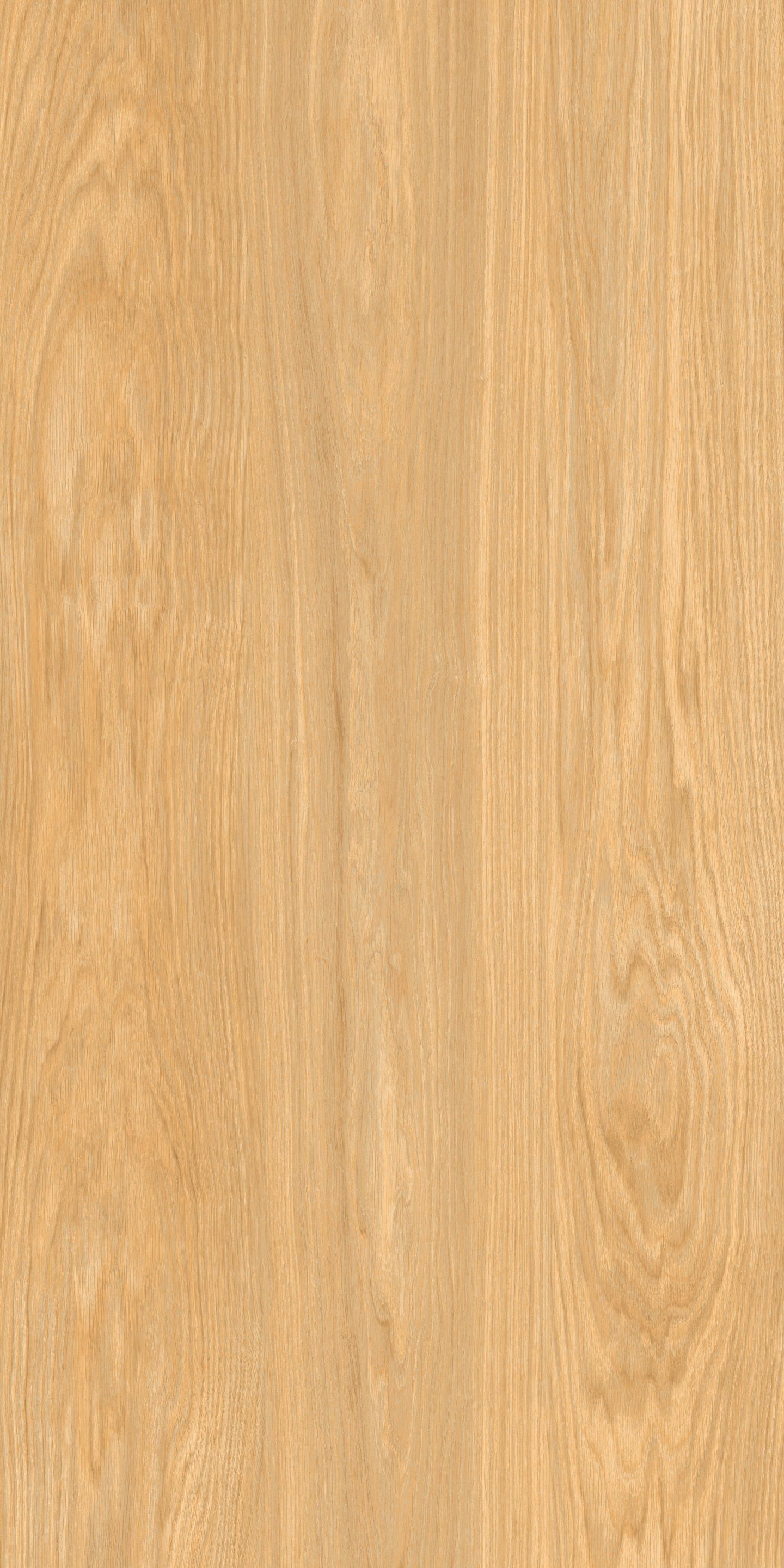 Пол из глазурованной керамогранита под дерево Ceramica Rondine DREAM ARCH-00032803 - Вид №19