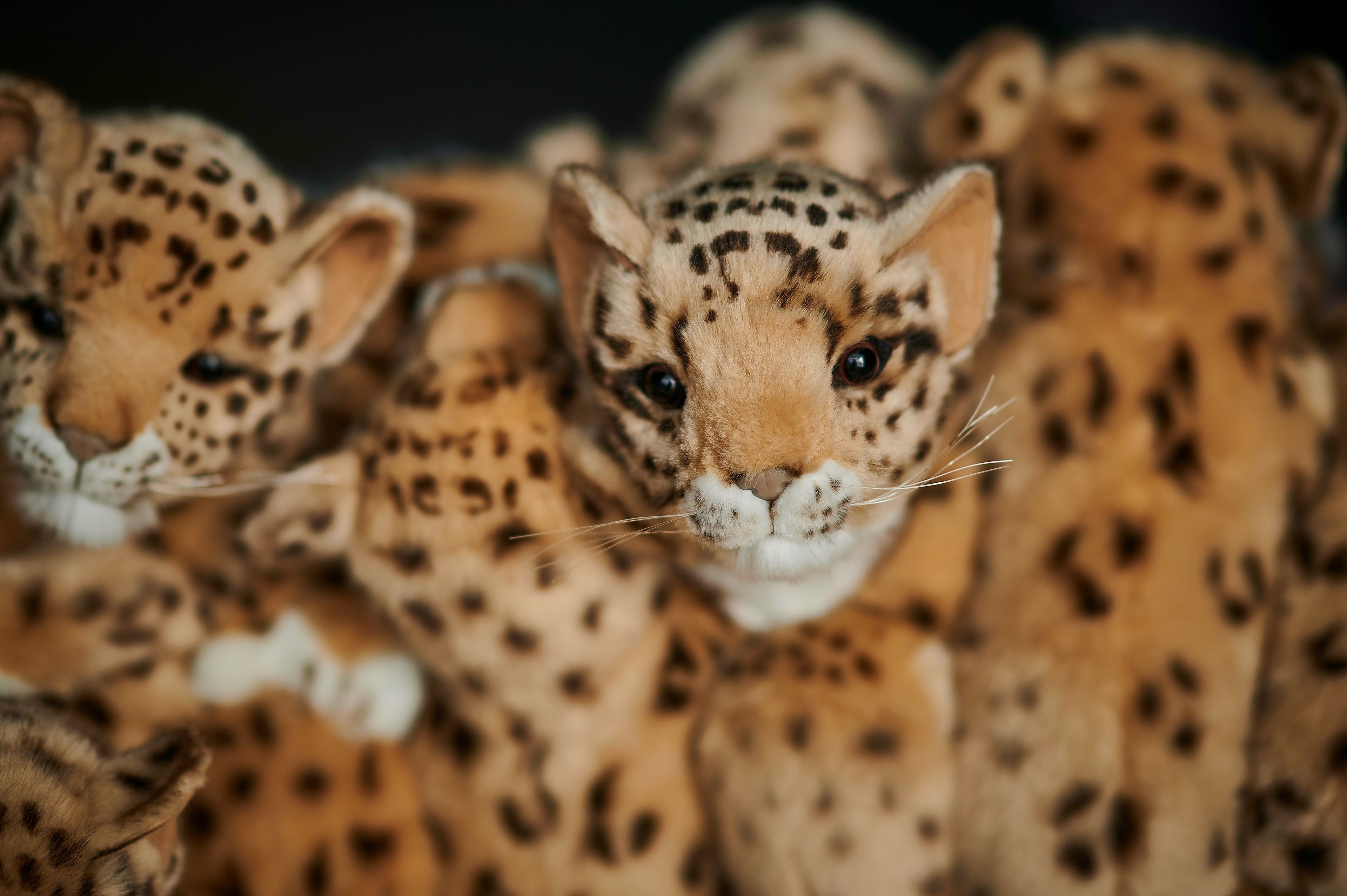 Полиэфирное кресло APCOLLECTION Leo ARCH-00065214 - Вид №16