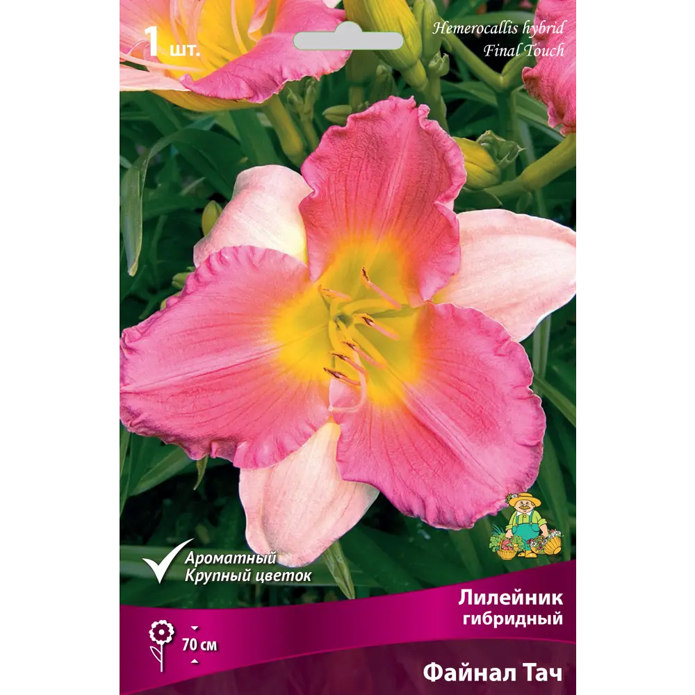 Лилейник гибридный Файнал Тач 82530251 STLM-2013409 Santreyd 