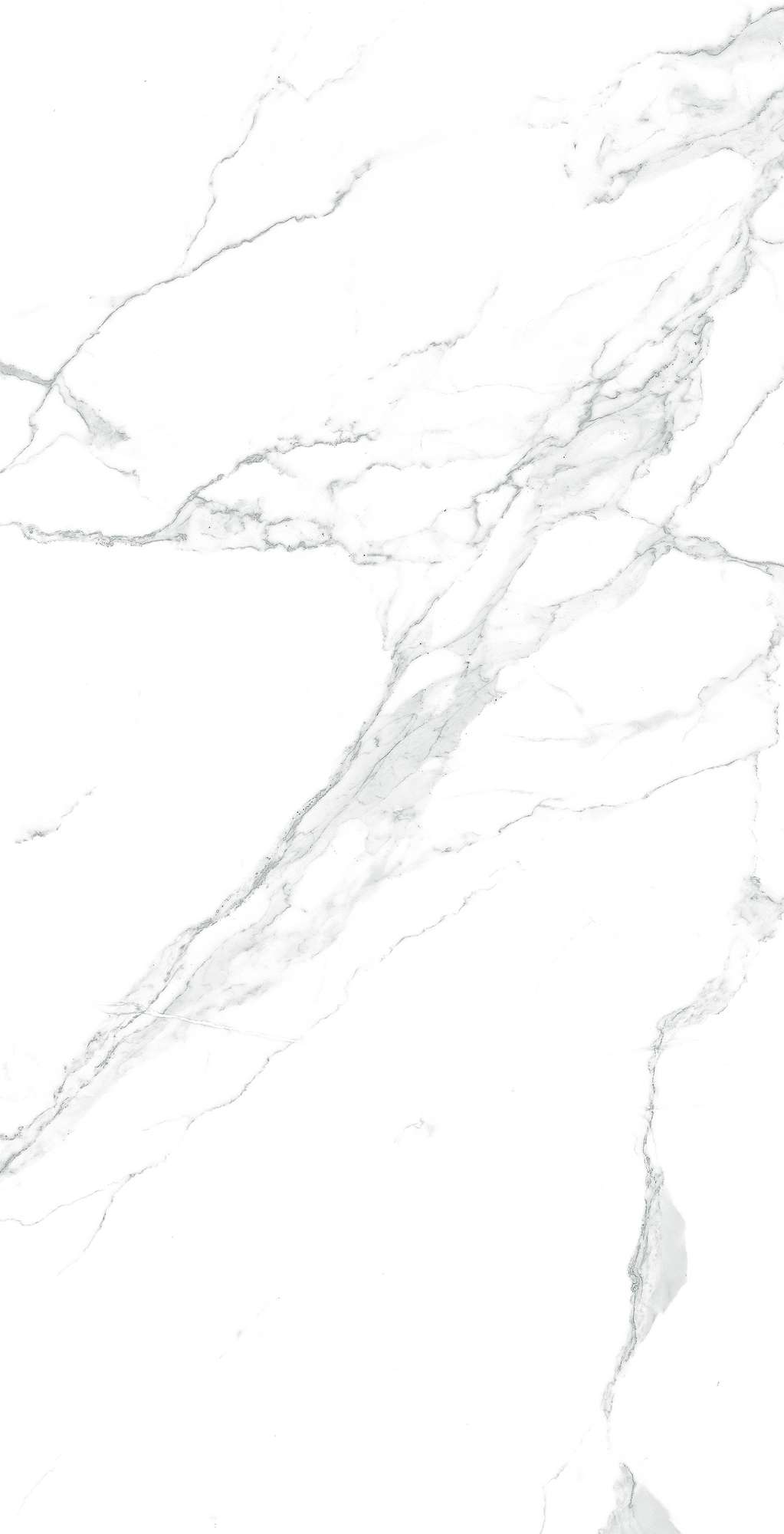 Керамогранит PARADISE STATUARIO 60х120 Arcadia Ceramica CR4003-A STLM-2175396 86386330 - Вид №7