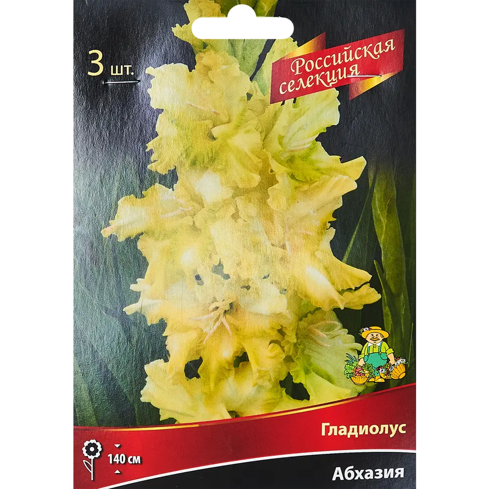 Гладиолус Абхазия, 3 шт 86410056 STLM-2192675 ПОИСК 