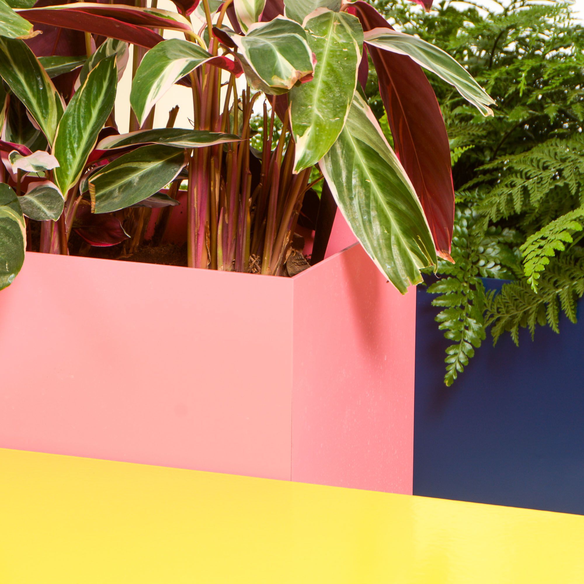 Прямоугольная алюминиевая плантатор с порошковым покрытием SIXINCH PLANTER ARCH-00109030 - Вид №6