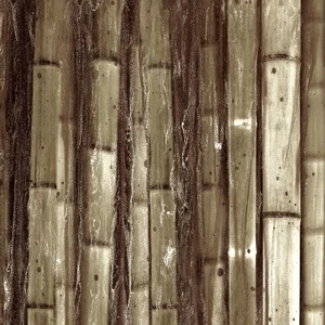 Арт-панель на холсте Alex Turco Organic Bamboo Jangle In Brown
