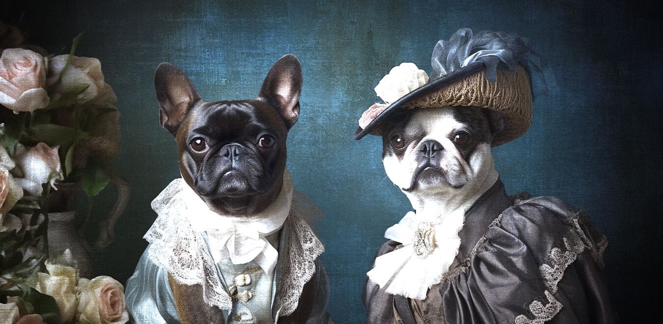 Обои Creativespace Stay Foolish ARCH-00071510 - Вид №1