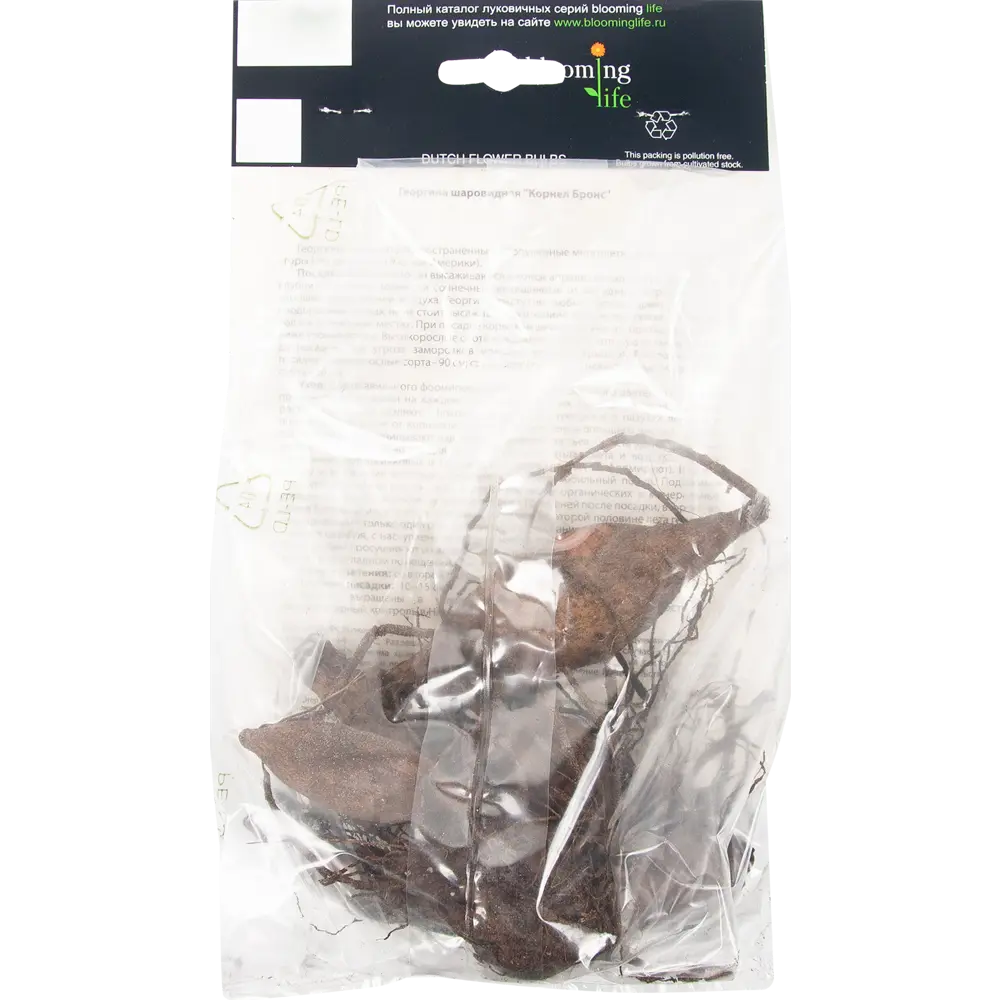 Георгина Корнел Бронс I, 1 шт BLOOMING LIFE STLM-2169358 - Вид №1
