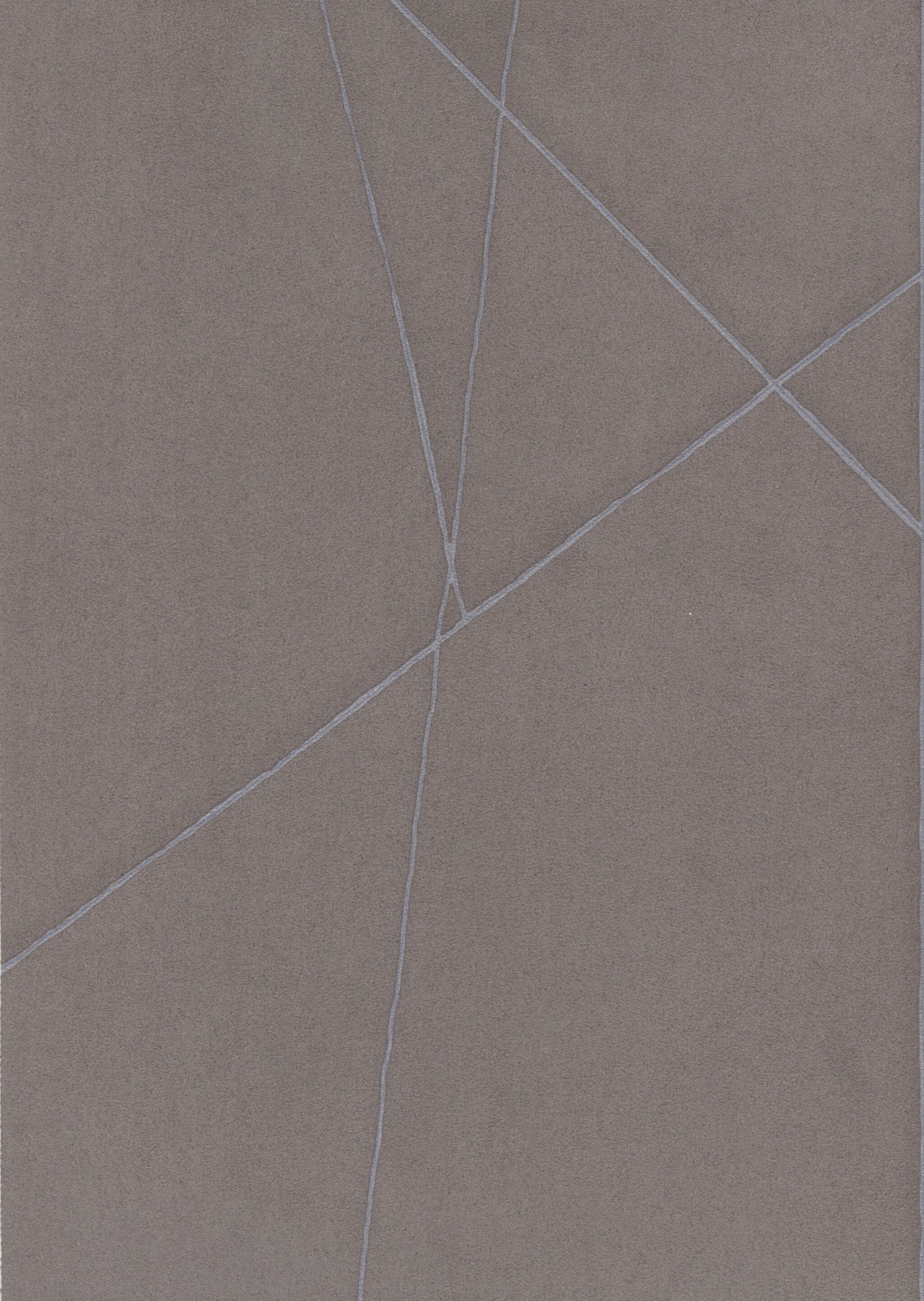 Обои из микрофибры TEXAM запутанность ARCH-00003889 - Вид №6