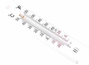 TENAX Мини-термометр с показаниями по Цельсию и Фаренгейту Accessori per l’orto 99560002