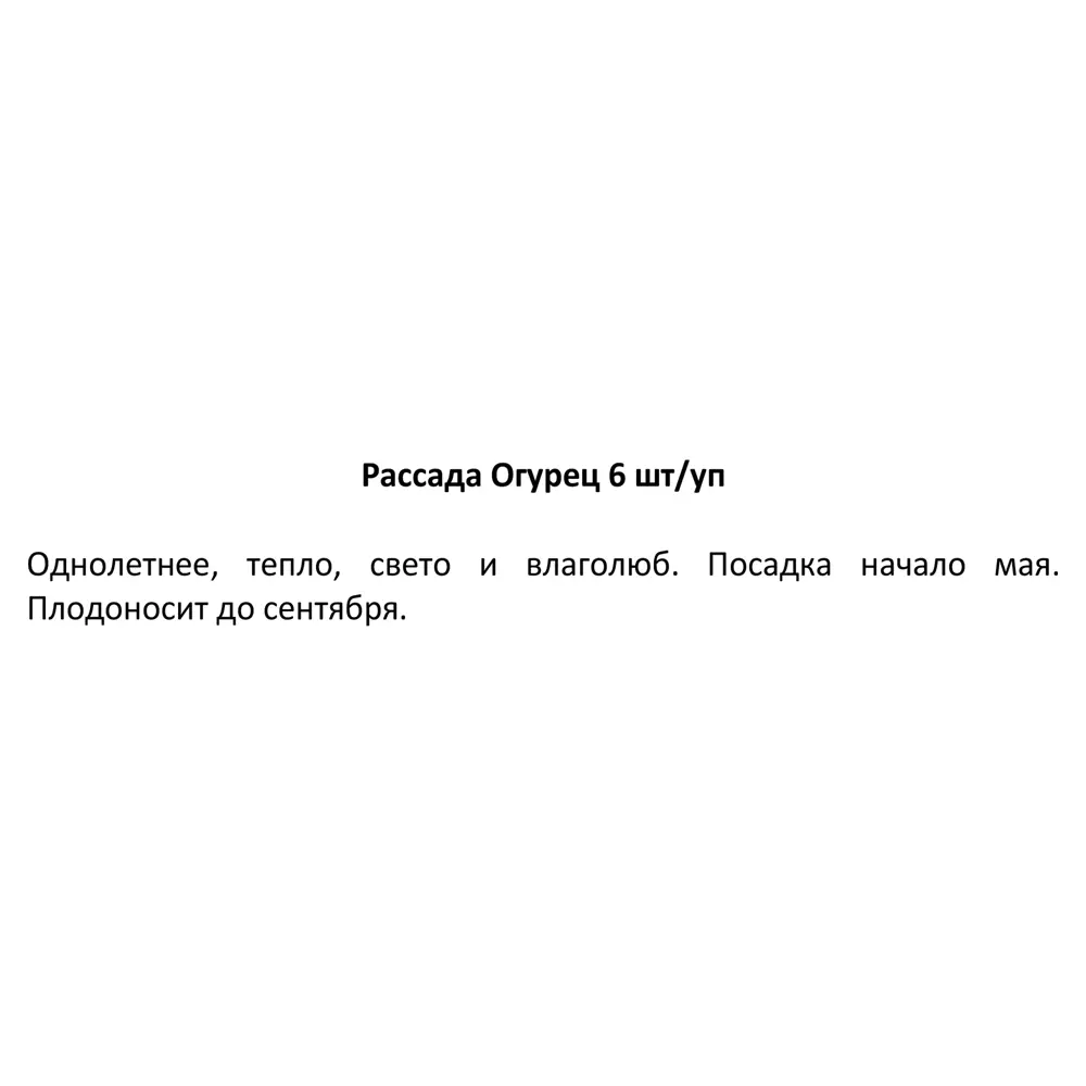 Рассада Огурец ø13 h15 см, 6 шт. 83248581 STLM-2055805 Santreyd  - Вид №2