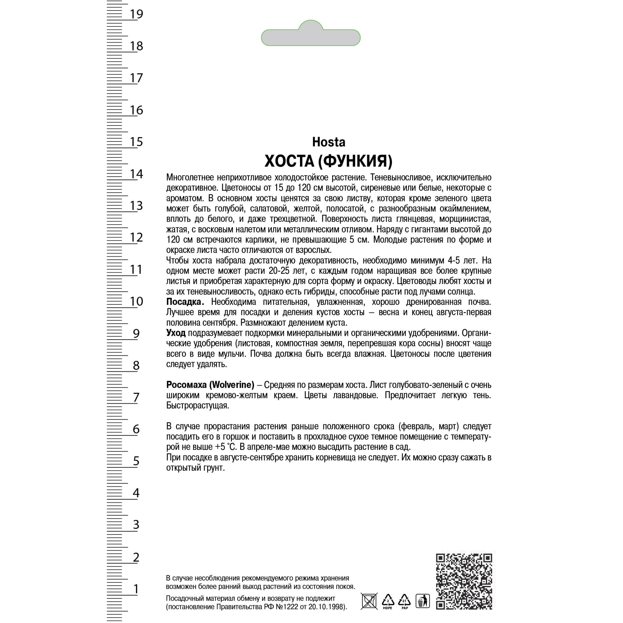 82118745 Хоста гибридная «Волверайн», 1 шт Santreyd  - Вид №1