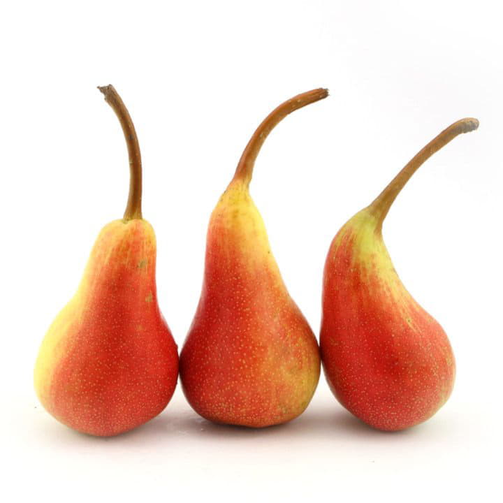 Груши Santreyd 5065 - Вид №1