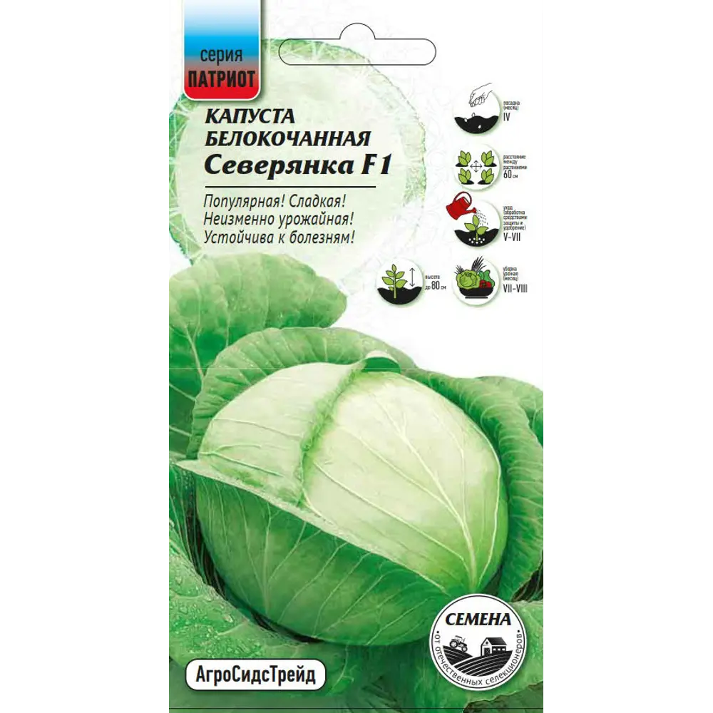 Семена овощей капуста белокочанная Северянка F1 89348021 STLM-2097449 Santreyd 