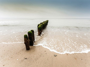 Обои с цифровой печатью