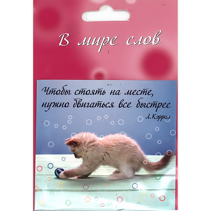 1032 Магнит ПВХ 8.5 x 5 см Чтобы стоять на месте Santreyd 