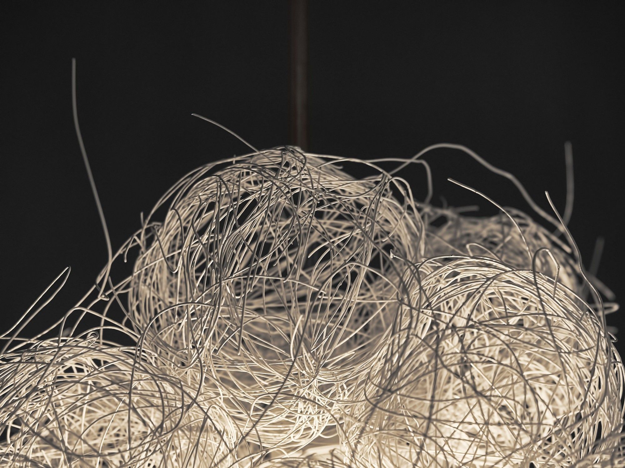 Светодиодный подвесной светильник из нержавеющей стали A-Emotional Light Blum ARCH-00150372 - Вид №5