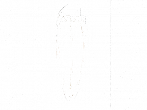 Siru Настенный светильник из муранского стекла Tulipano Ma 237-035