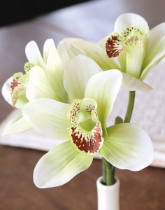2960 788 a3 Шелковая орхидея цимбидиум в вазе, 27 см, real touch, бежево-зеленая H-andreas