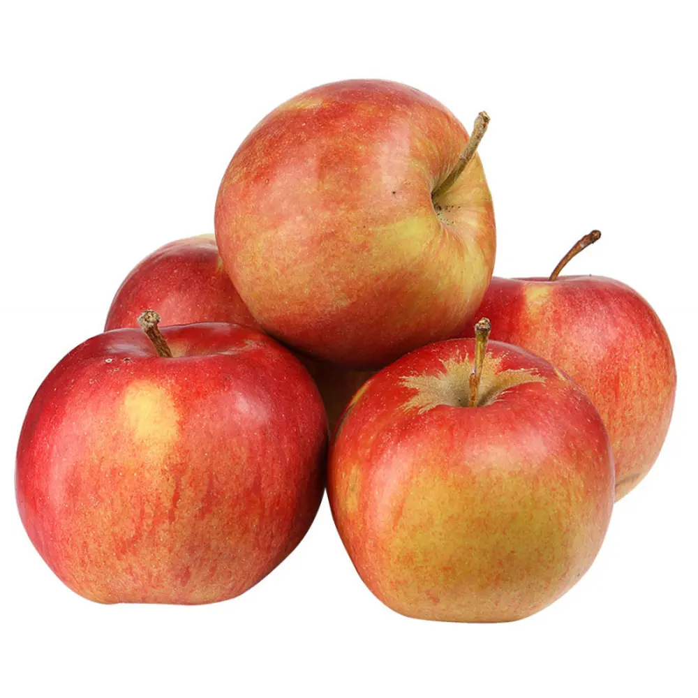 Яблоня «Айдаред» C4 высота 120-150 см ВСЕ В САД STLM-2128132