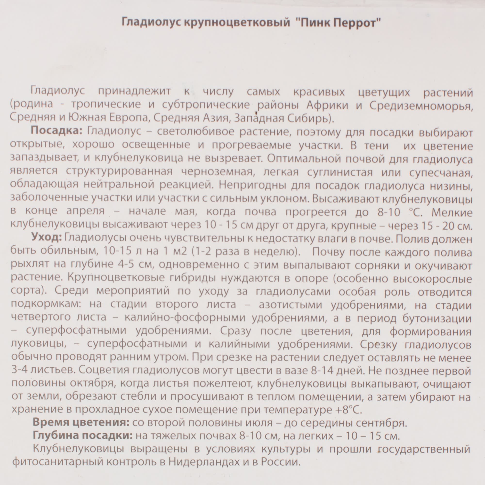 13913677 Гладиолус Крупноцветковый Пинк Пэррот (12/14) Santreyd  - Вид №2