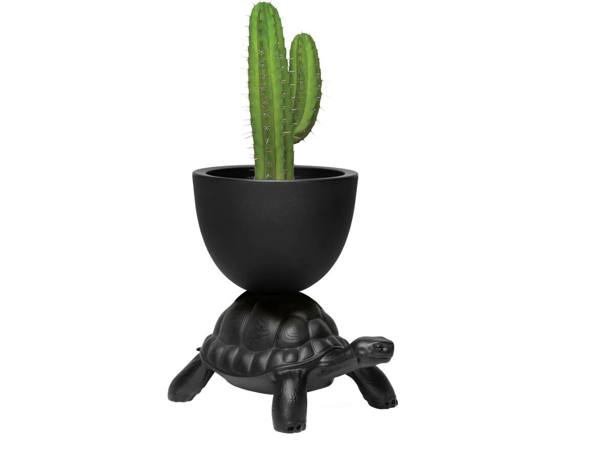 Полиэтиленовая банка Qeeboo Переноска для черепах ARCH-00055361 - Вид №3