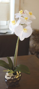 2596 778 a3 Пластиковая орхидея Phalaenopsis, горшечная, 43 см, real touch soft, бежево-белая H-andreas