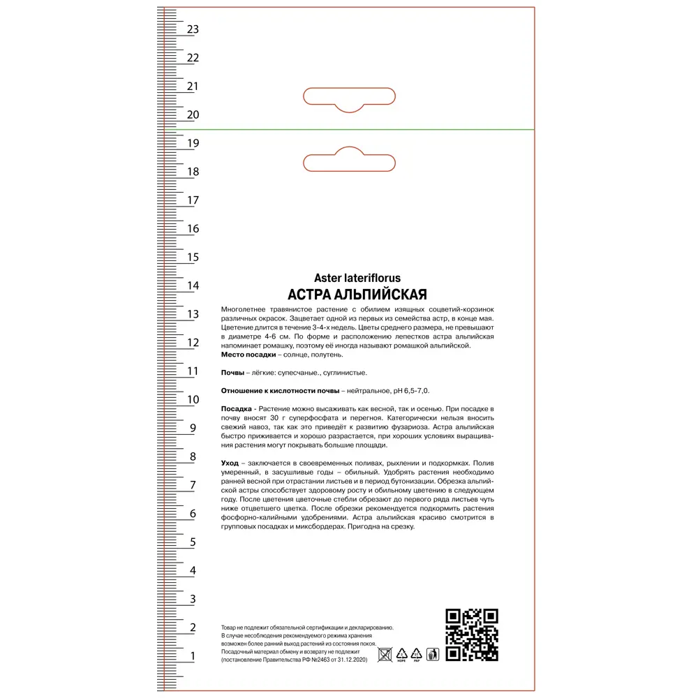 Астра альпийская Альба 89452341 STLM-2090732 ПОИСК 