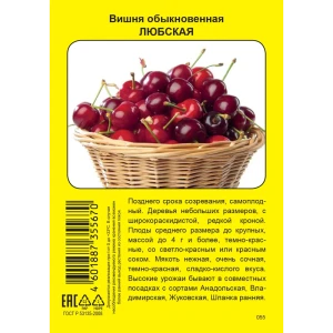 Вишня «Любская» 82150781 STLM-2193113