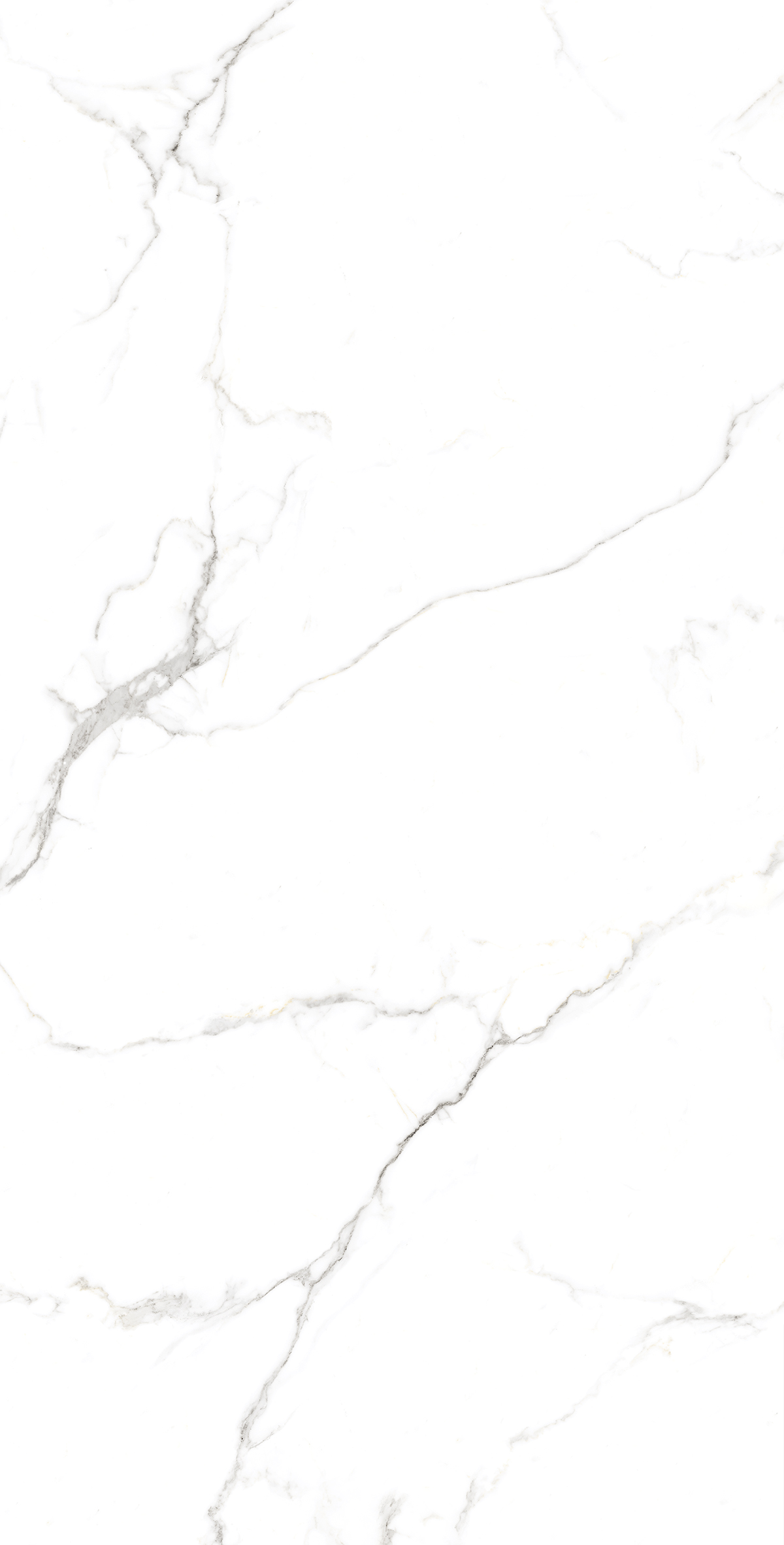 Керамогранит STATUARIO FINE 60х120 Arcadia Ceramica FP1039-A - Вид №5