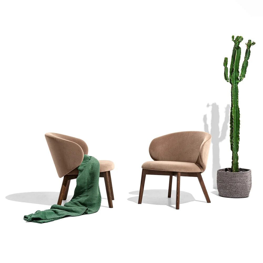 Кресло из ткани с ножками из бука Connubia Тука ARCH-00090333 - Вид №1