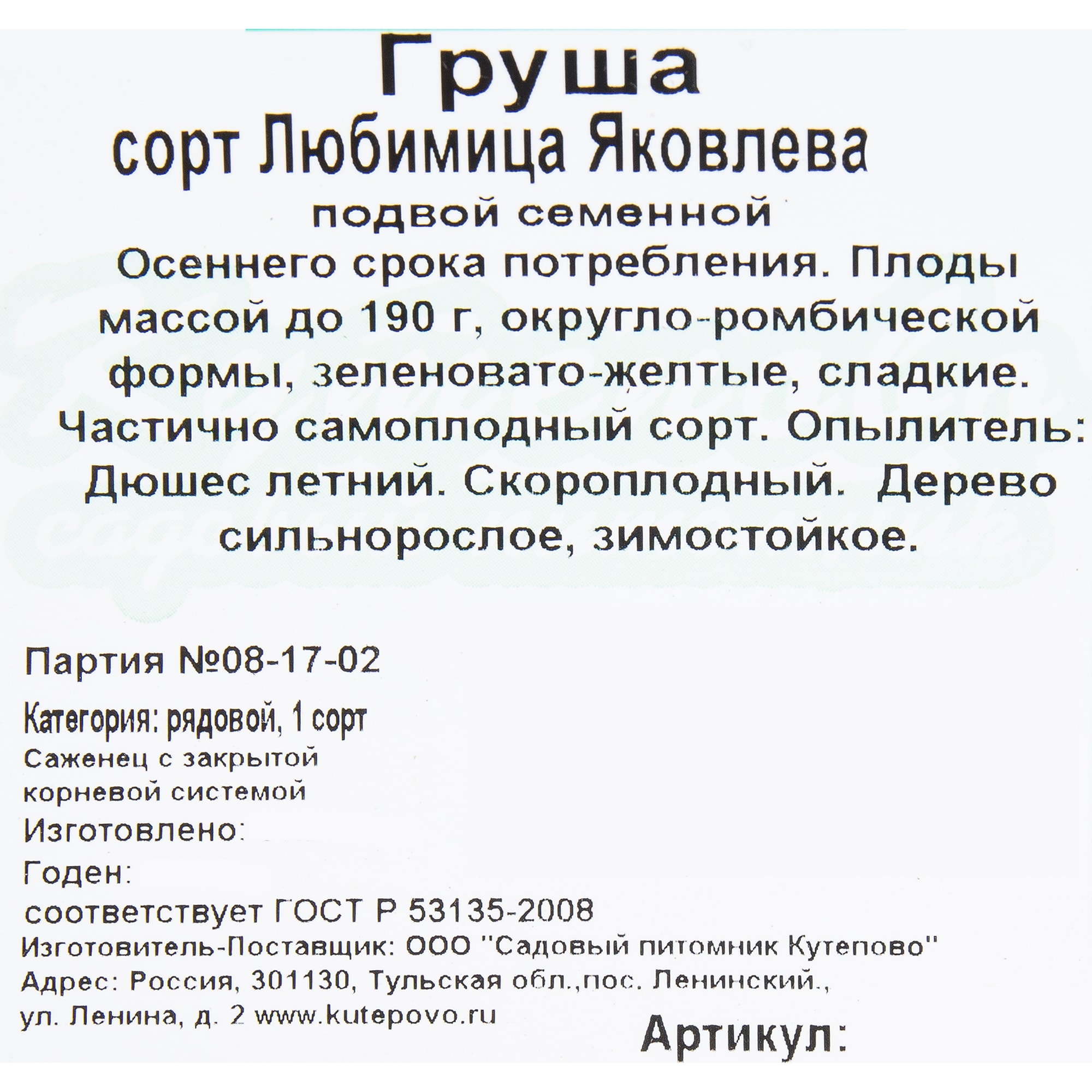 82597068 Груша «Любимица Яковлева» C4 высота 140 см Santreyd  - Вид №1