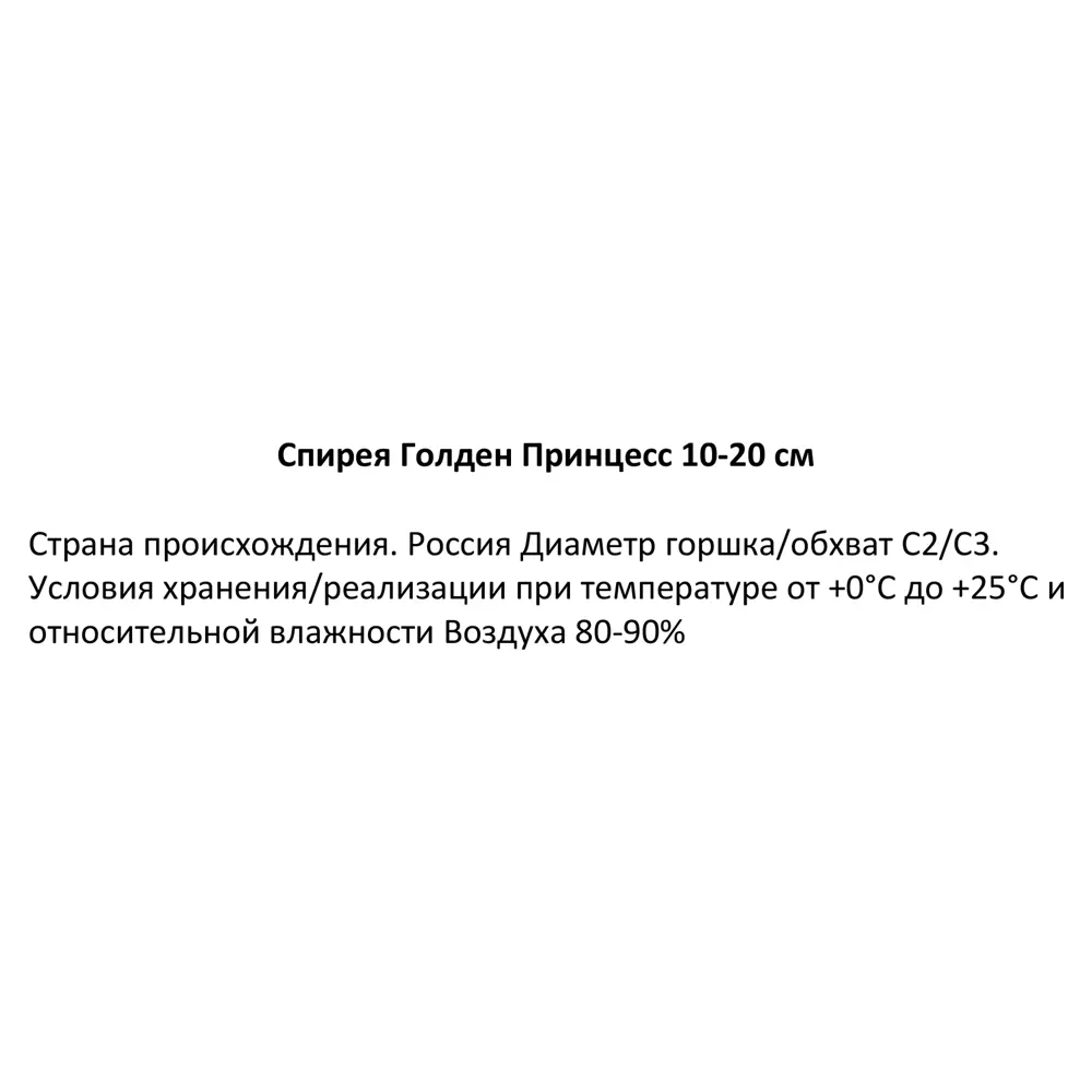 Спирея японская Голден Принцесс ø16.5 h10-20 см 85320130 STLM-2142372 Santreyd  - Вид №1