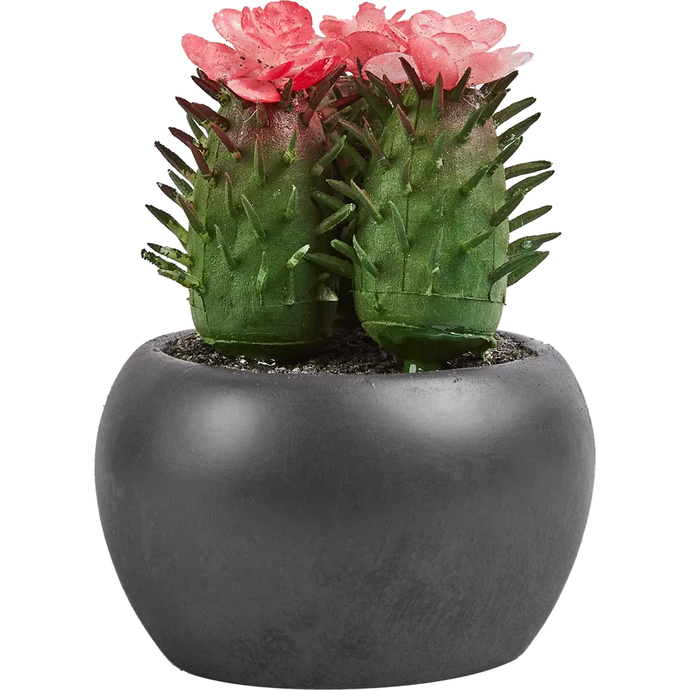 Искусственное растение в пластиковом горшке Atmosphera Кактус D6.3x11.5 см микс STLM-2119665 - Вид №5