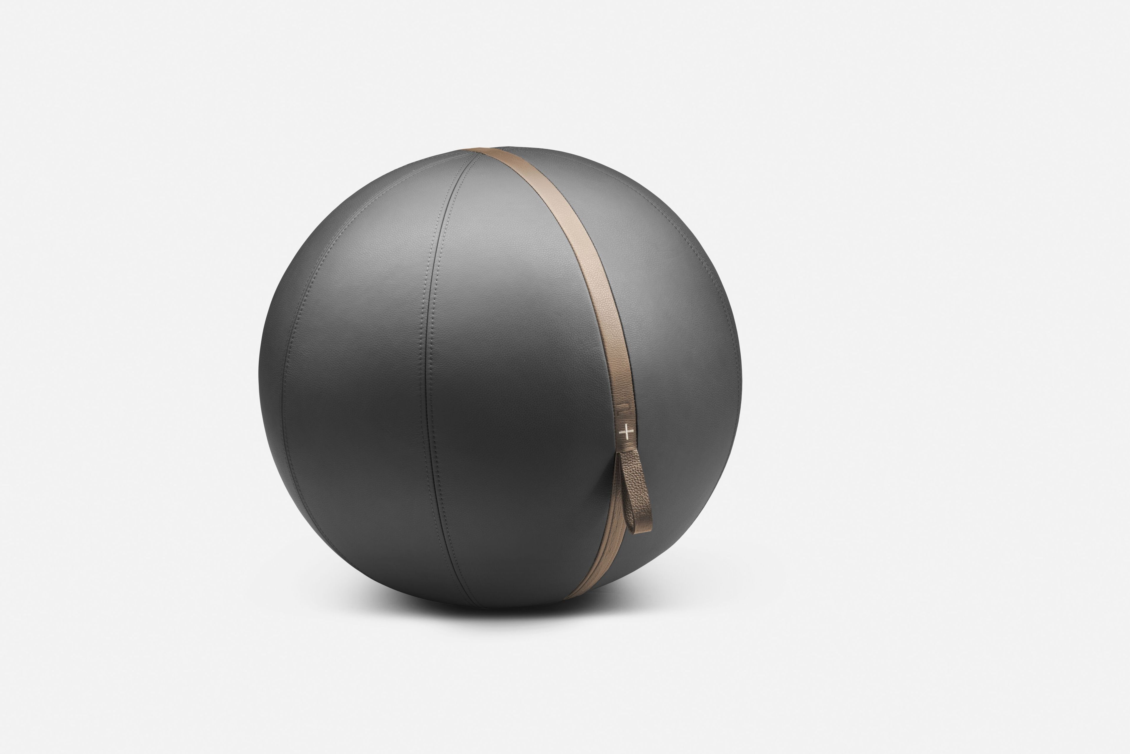 Сидя мяч в коже PENT MESNA ARCH-00040874 - Вид №6