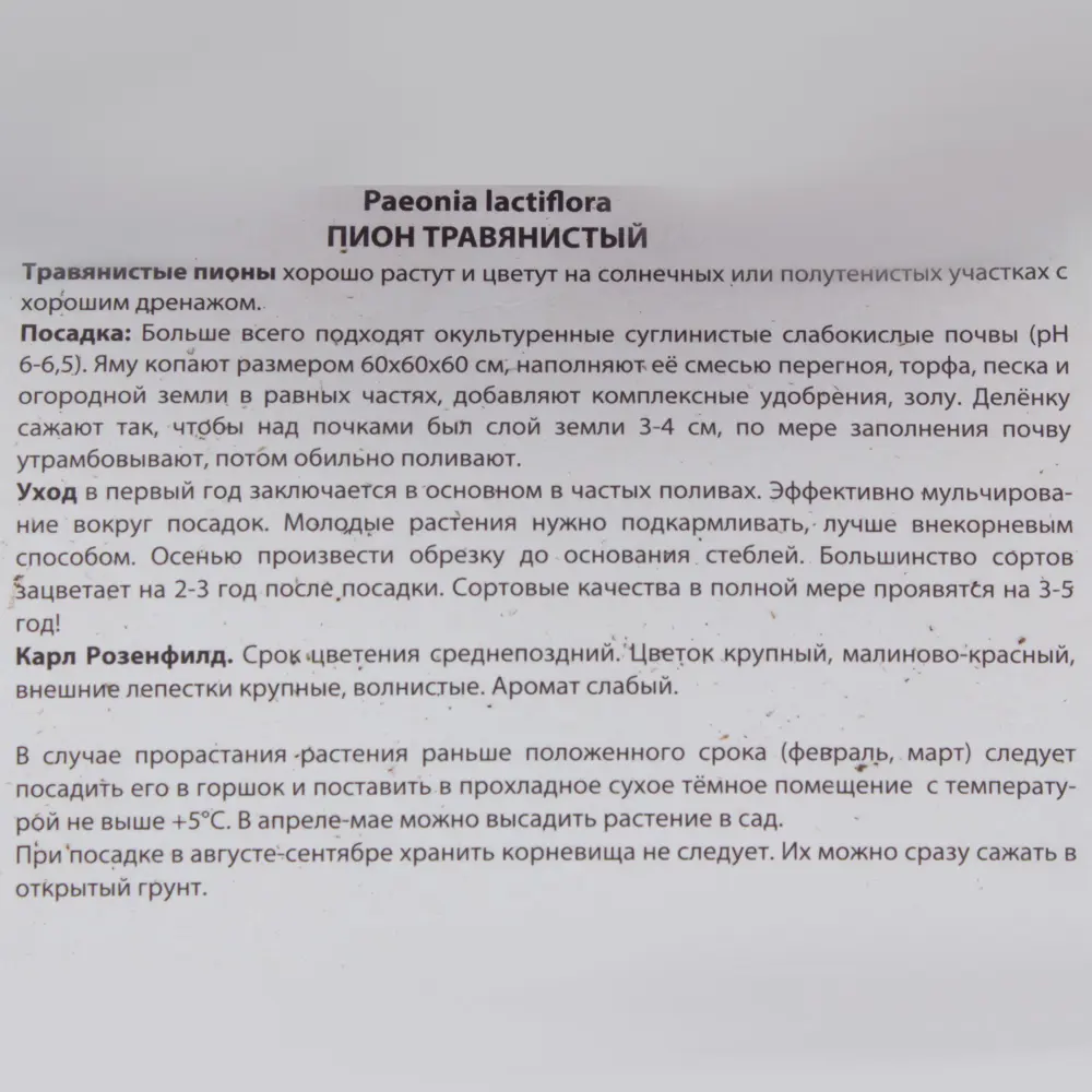 Пион травянистый «Карл Розенфилд» 81945473 STLM-2095907 Santreyd  - Вид №2