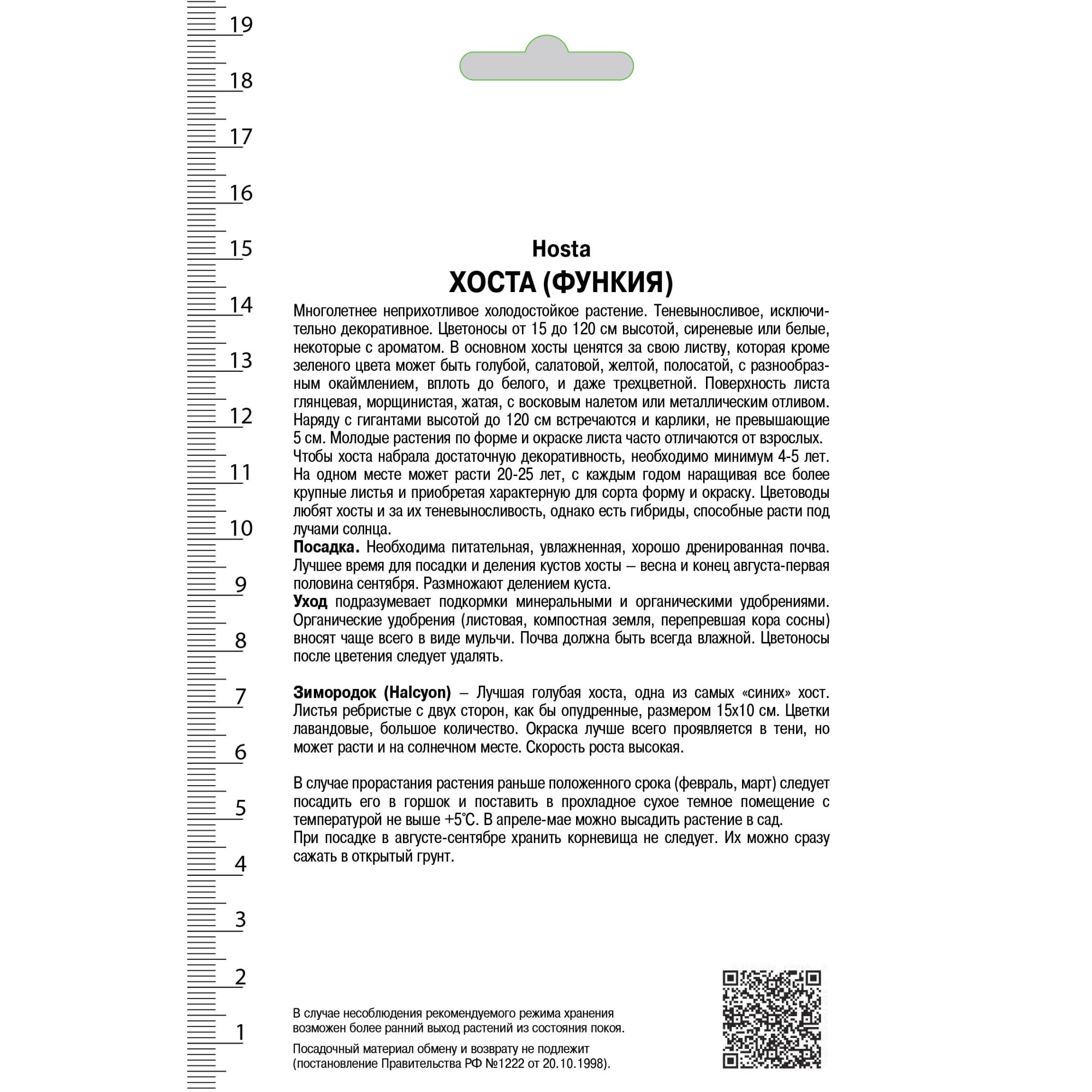 82118742 Хоста поздняя «Халцион», 1 шт Santreyd  - Вид №1