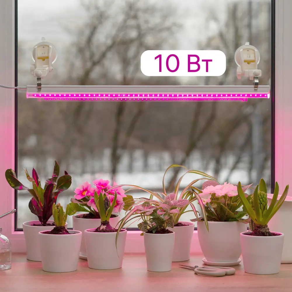 Фитолампы Ritter Planta для растений с выключателем - эффективная досветка рассады и цветов 85336791 STLM-0061766