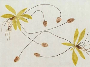 Deirdre Dyson Прямоугольный ковер с цветочным рисунком 2012 67