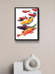 90063953 Постер Просто Постер Разноцветные рыбки 40x50 в раме Металл STLM-0099512 ПРОСТОПОСТЕР