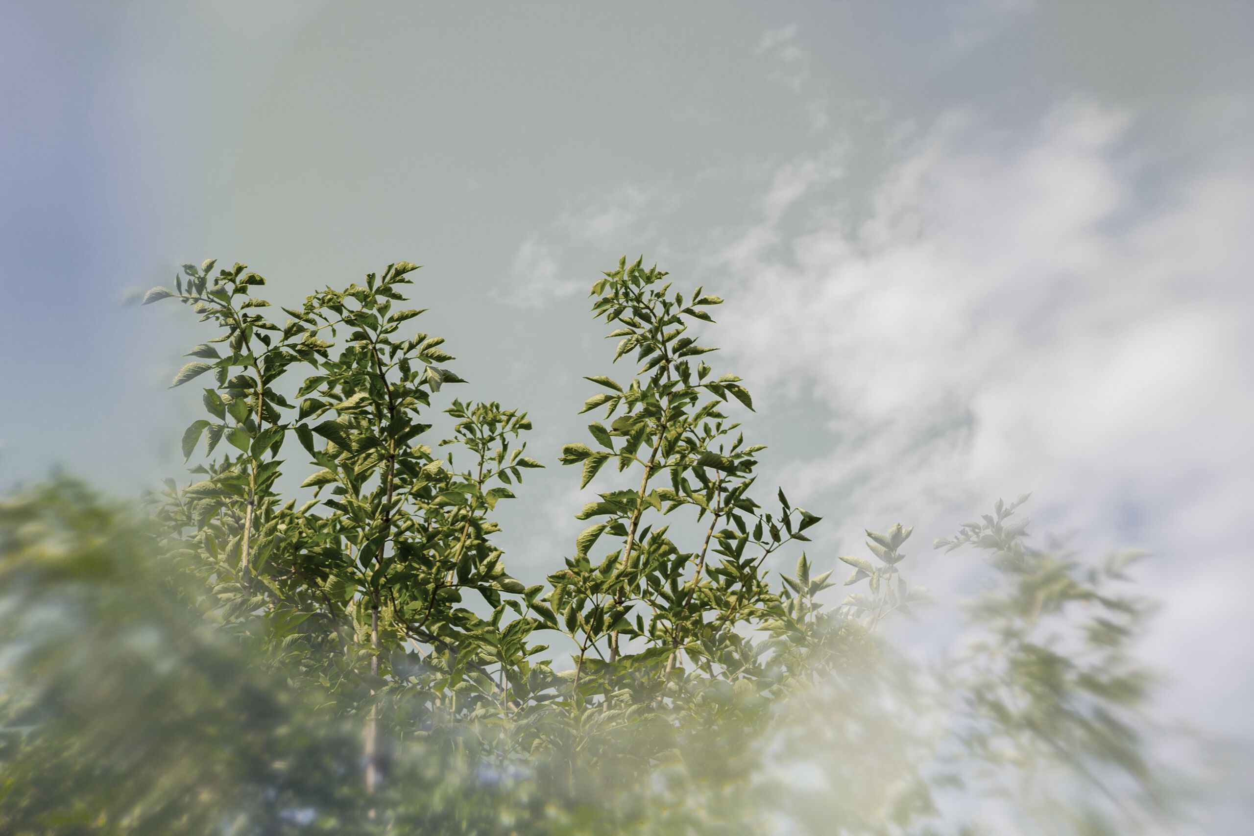 Обои с рисунком GLAMORA Творческая коллекция, глава XIV ARCH-00095797 - Вид №9