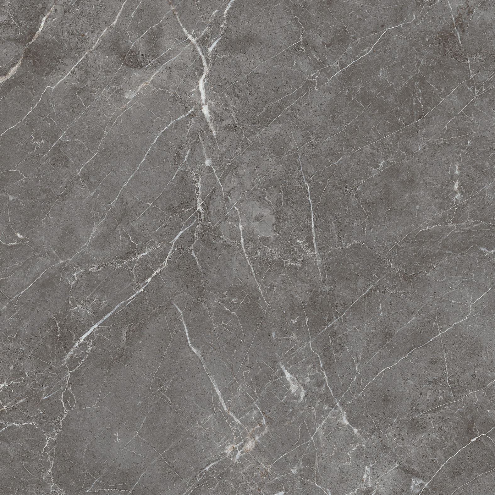 Керамогранит ESPERIA GRIGIO 60х60 Arcadia Ceramica CR6001-A  - Вид №5