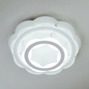 Потолочный светодиодный светильник Eurosvet Corona 90076/2 белый EUROSVET CORONA 202702 Белый