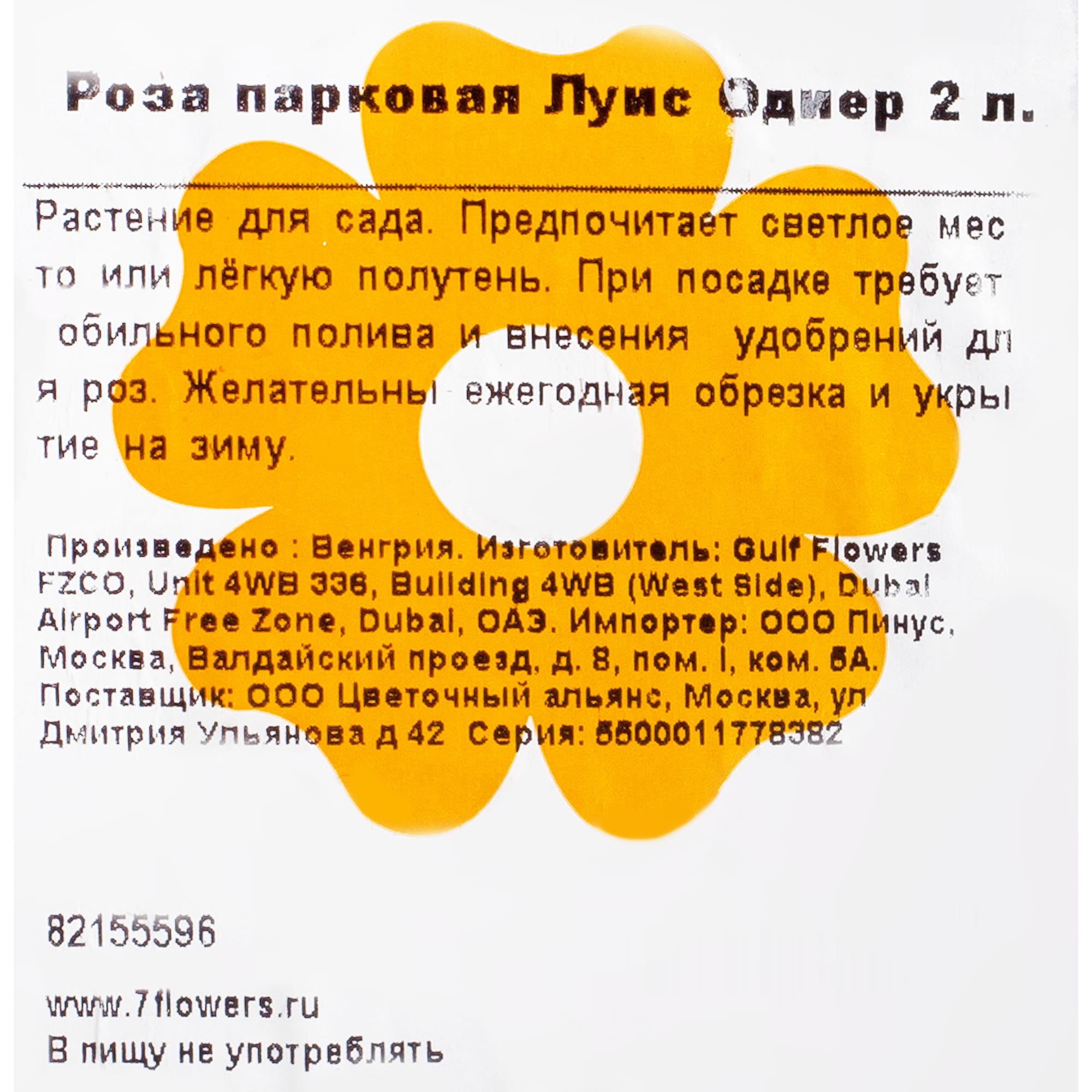 82155596 Роза парковая Луис Одиер 2 л Santreyd  - Вид №1