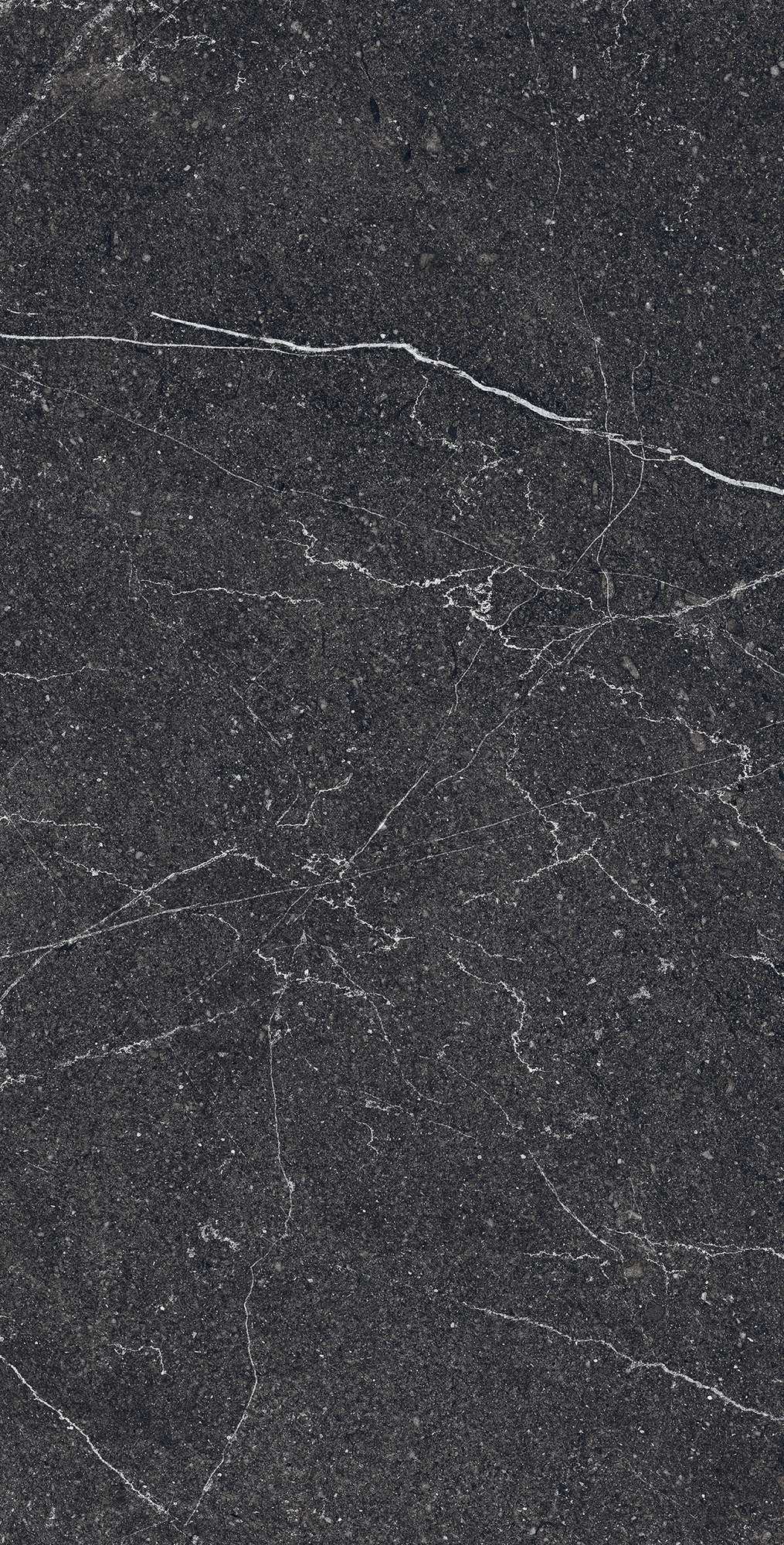 Графитовая элегантность EQUISTONE CHARCOAL RG6003-A Arcadia Ceramica - Вид №1